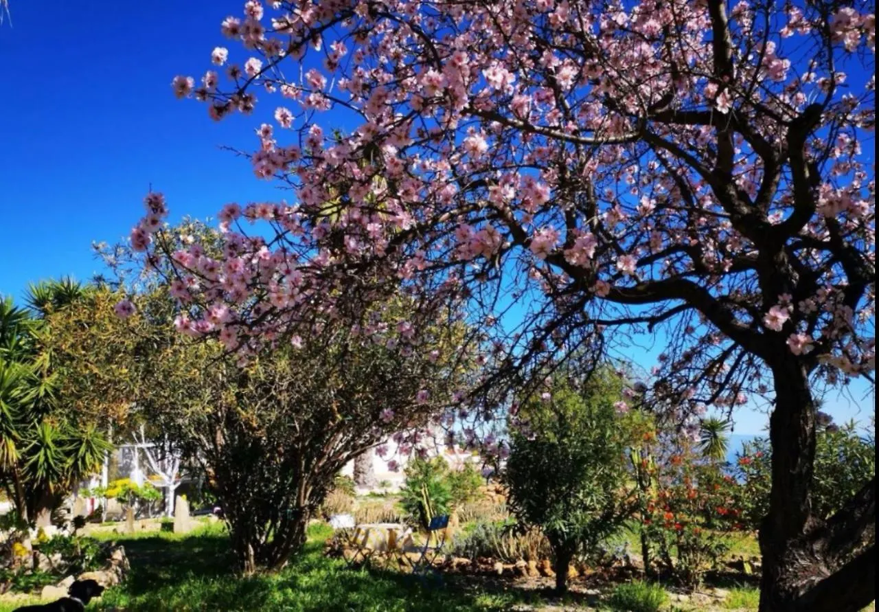 Σπίτι διακοπών La Casita Ma Petite Folie Tenerife Σάντα Κρουζ Τενερίφης