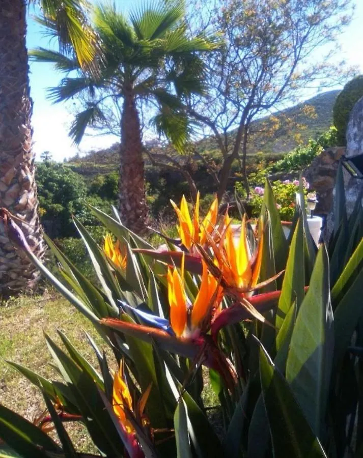 La Casita Ma Petite Folie Tenerife Santa Cruz de Tenerife İspanya