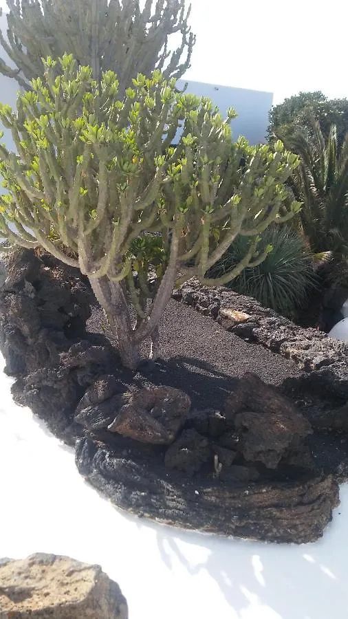 Tatil Evi La Casita Ma Petite Folie Tenerife Santa Cruz de Tenerife
